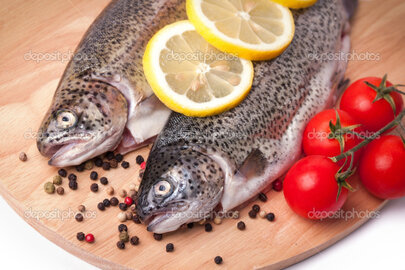 Tagesfang Fisch mit Kräutern und Zitrone